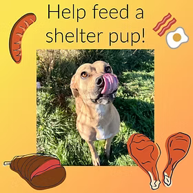 Feed a Rescue Dog